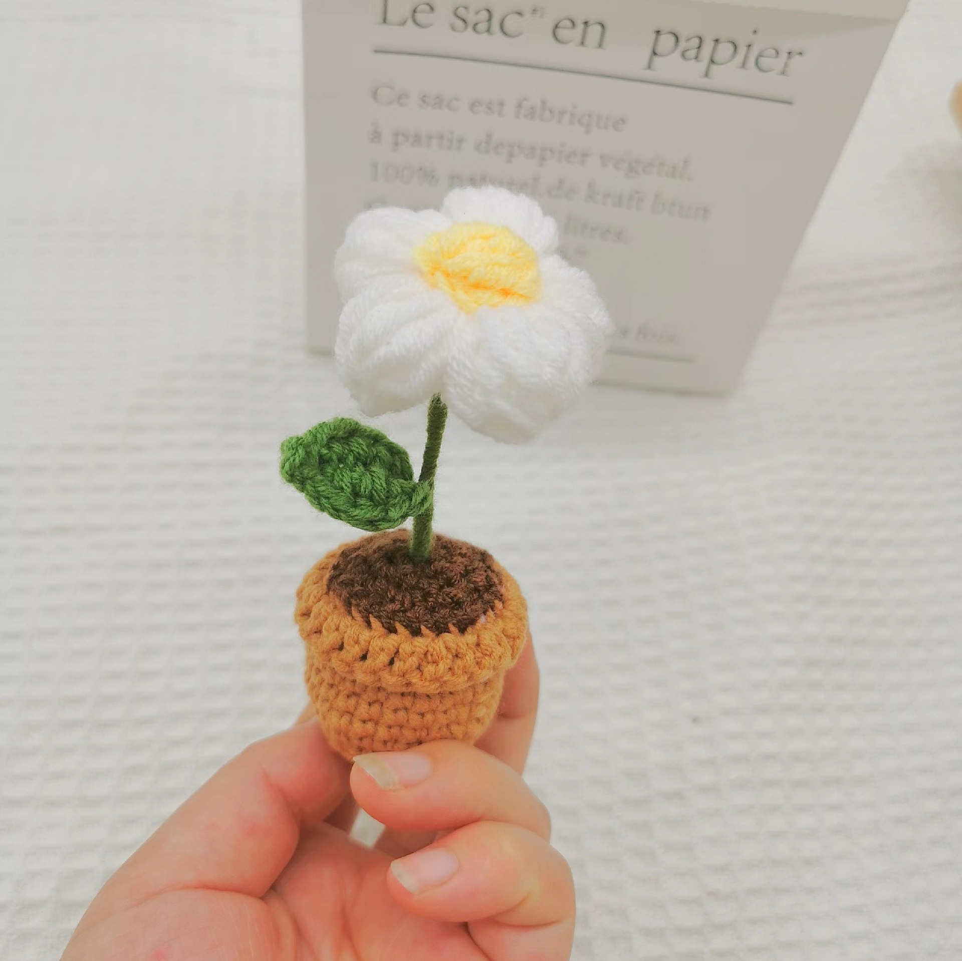 Puff flower