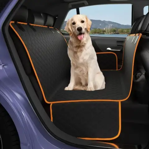 Moisture-Proof and Waterproof Car Pet Mat