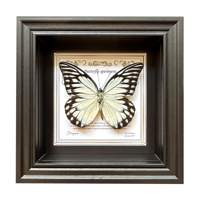 https://cf.cjdropshipping.com/quick/product/7e011bf9-b5ff-4f81-9b06-b3beb211b248.jpg