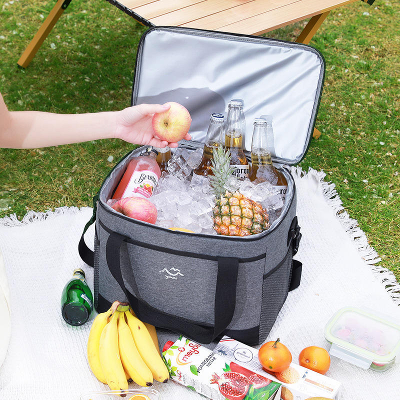 Handheld Insulated Tote Bag