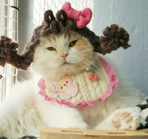 Cat Headgear Double Dough twist Style Plaits Handmade Light Brown Pink Bow - Shop at LoveMi