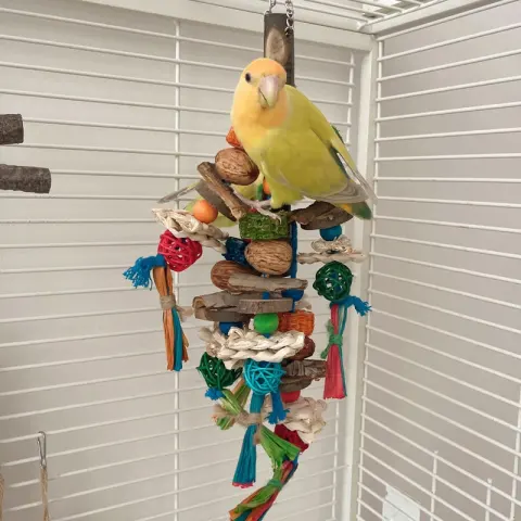 Parrot Toy Bird Decompression Relieving Stuffy Natural Material Tearing