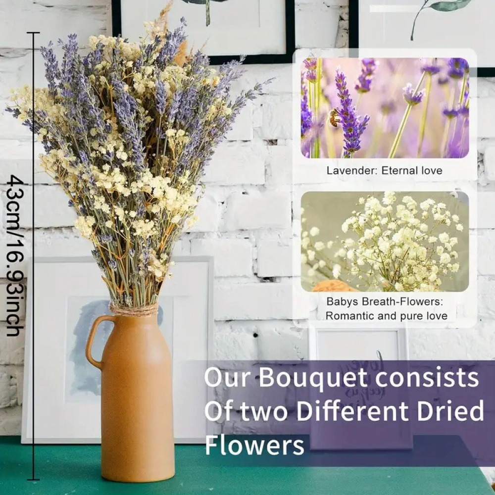 https://cf.cjdropshipping.com/quick/product/7ecad82e-03d3-47ad-82e4-fadc856d4038.jpg