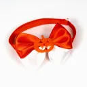 Red Bow Tie