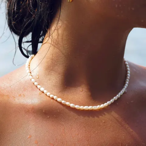 Natural Freshwater Pearl Necklace for Women Light Luxury Minority