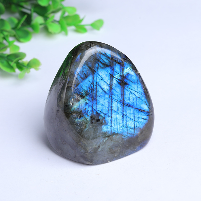 https://cf.cjdropshipping.com/quick/product/7f1d32ce-6990-449b-aa82-ffd7504dd8ec.jpg