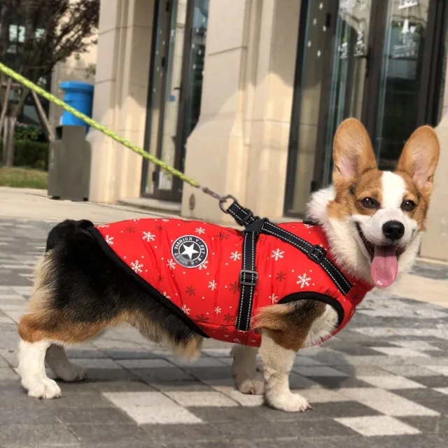 Autumn And Winter Clothing Warm Pet Clothing Waterproof Reflective Tape Chest Back Dog Cotton Snowflake - Shop at LoveMi