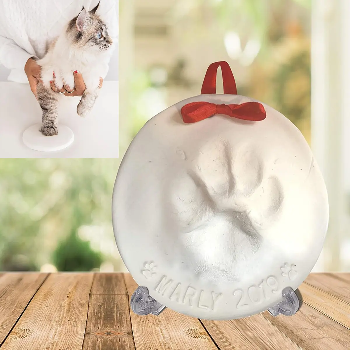 White Pet Cat And Dog Paw DIY