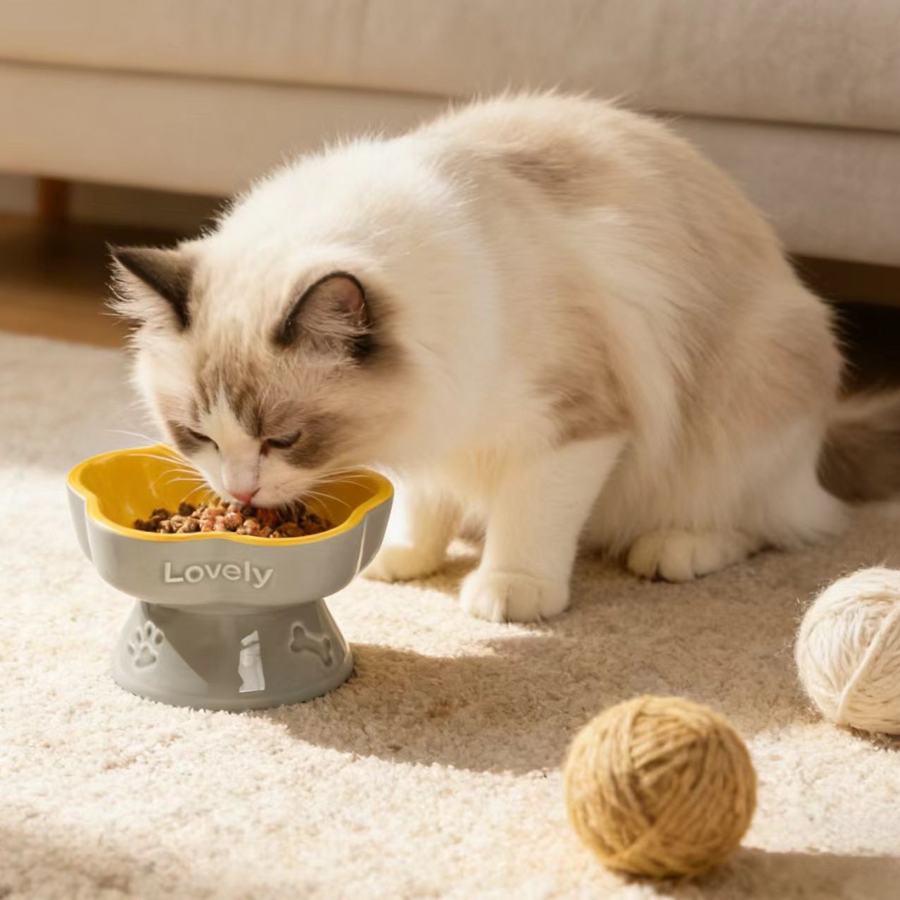 Ceramic Elevated Pet Bowl For Medium To Large Dogs — foto 2