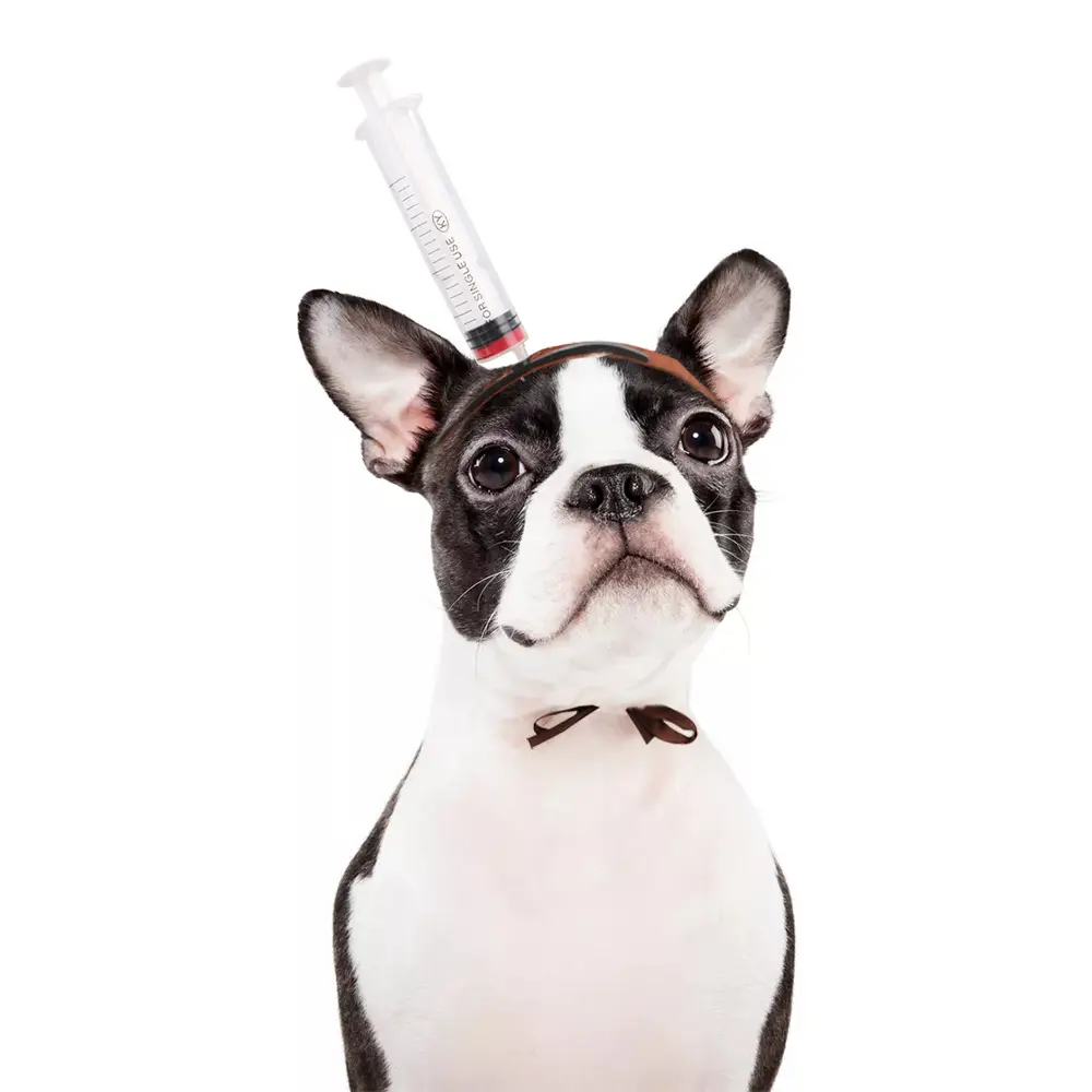 Dog Cat Headgear Dress Up Trick Props Dress Up