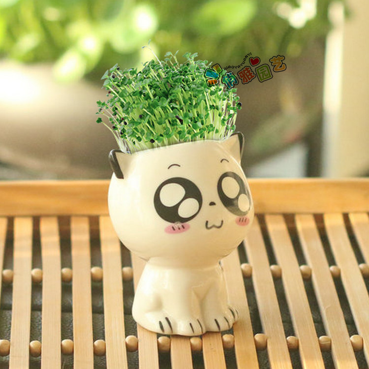 Desktop Mini Cute Cat Self-Growing Grass Plant Doll