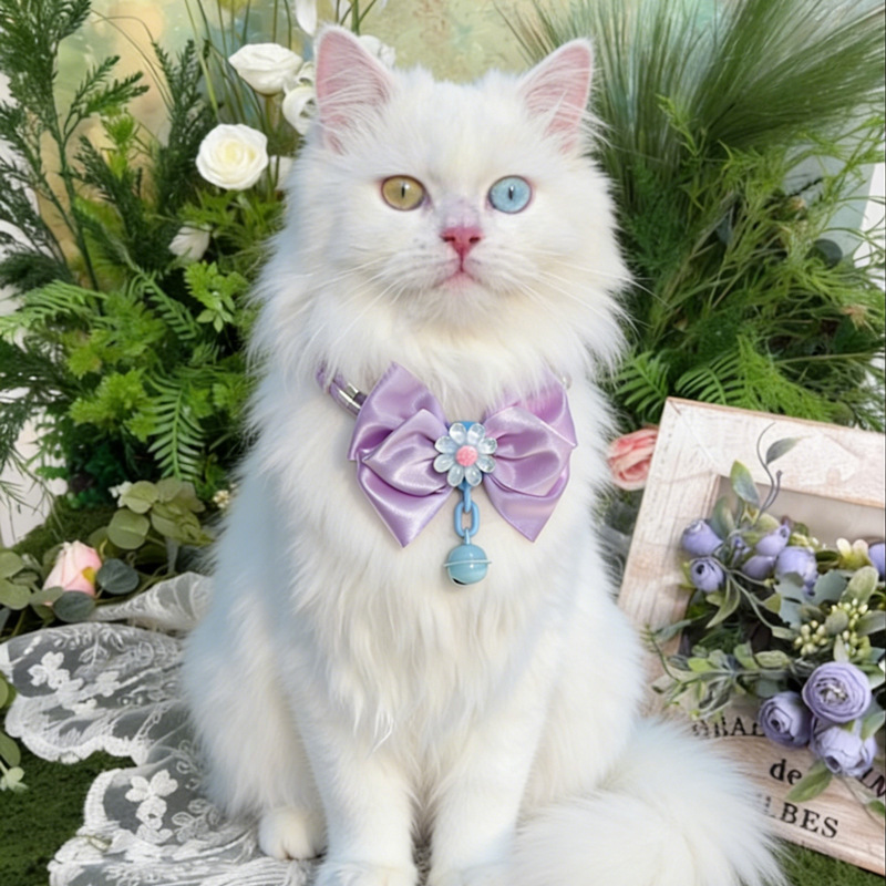 Lace Pom-Pom Pet Collar