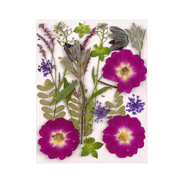 Material Package Photo Frame Decoration Real Flower Leaf Specimen 45 Birds And Flowers - Shop at LoveMi