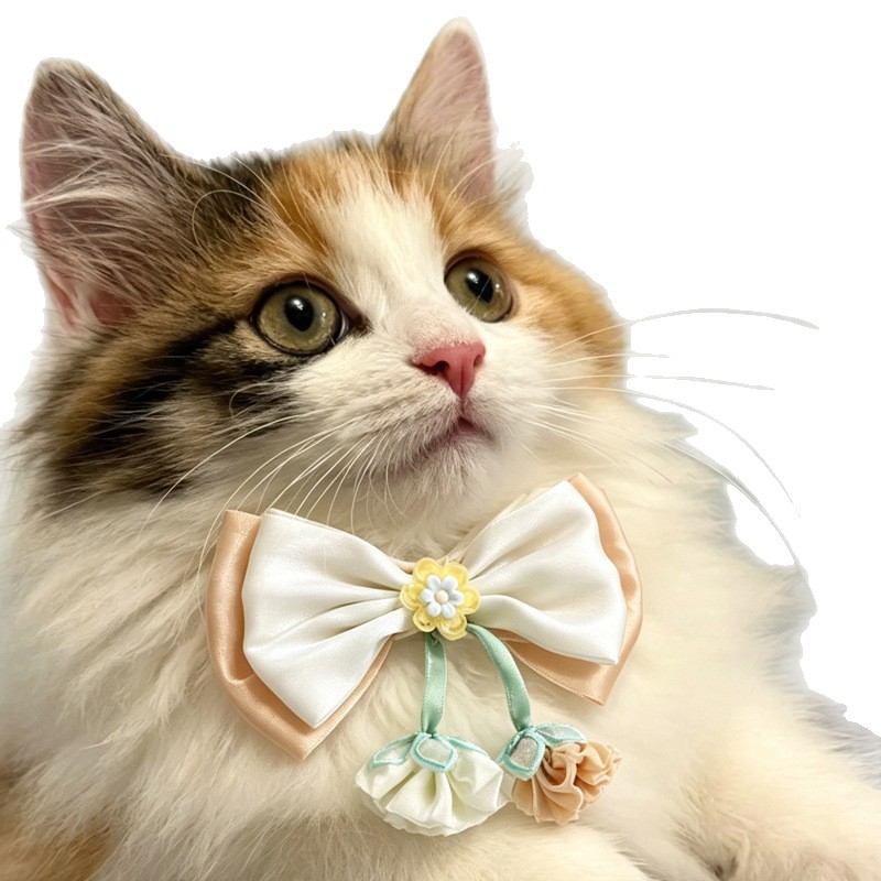 Lace Pom-Pom Pet Collar