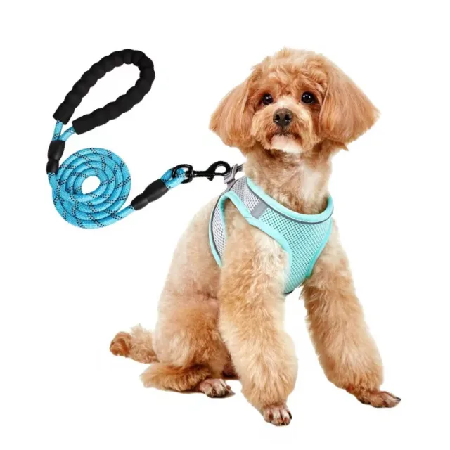 Dog Hand Holding Rope Vest Small Dog Dog Leash Teddy Bichon Breathable Chest Strap Pomeranian Puppy Small Dog Leash Style16 - Shop at LoveMi
