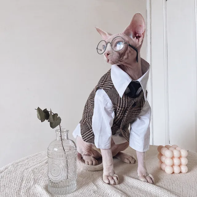 Hairless Cat Clothes Sphinx Cat German Suit Shirt Outfit Camel Plaid Vest - Shop at LoveMi