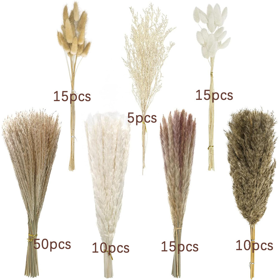 https://cf.cjdropshipping.com/quick/product/824a2507-09f1-4cd7-abf8-18561dea20db.jpg