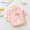 Cloud Mengmeng Bunny