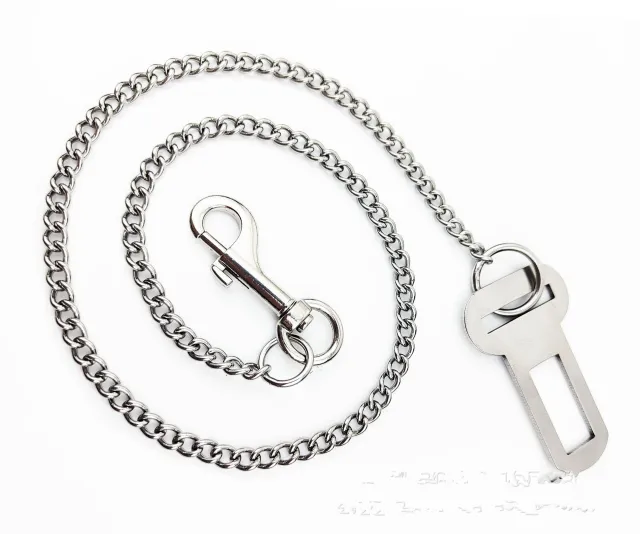 Stainless Steel Small Chain Puppy Car Safety Rope Steel Button Chain - Shop at LoveMi