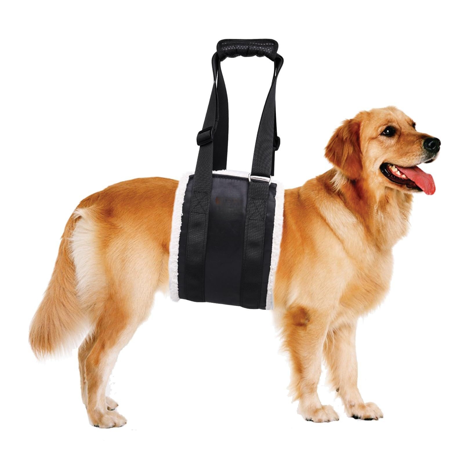 Outdoor Rehabilitation Pet Supplies Assistive Strap Ordinary Black Style S