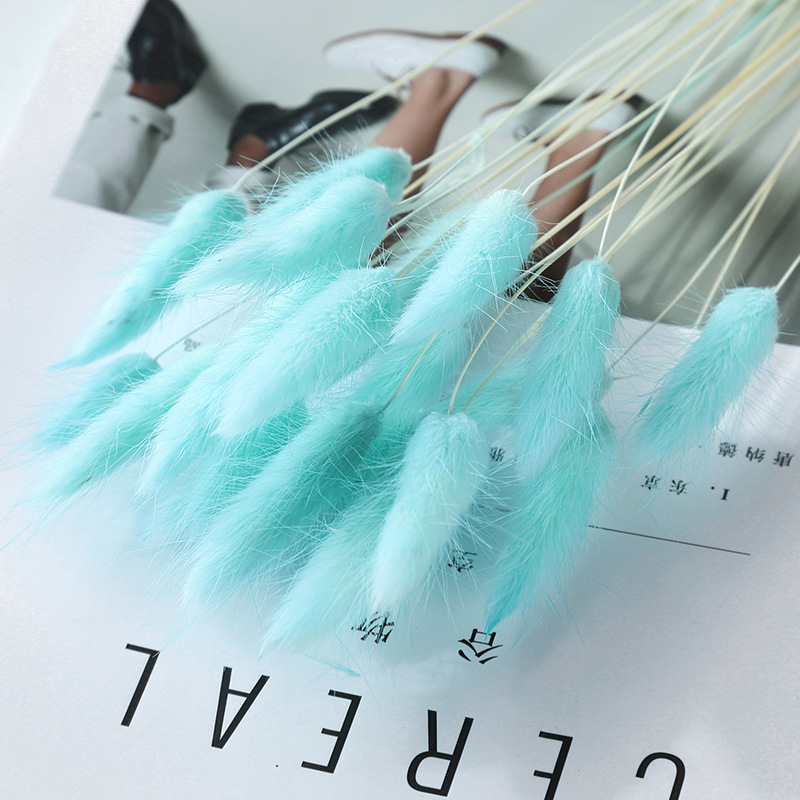 Home Decoration Ornaments - Rabbit Tail Grass Dried Flower Bouquet