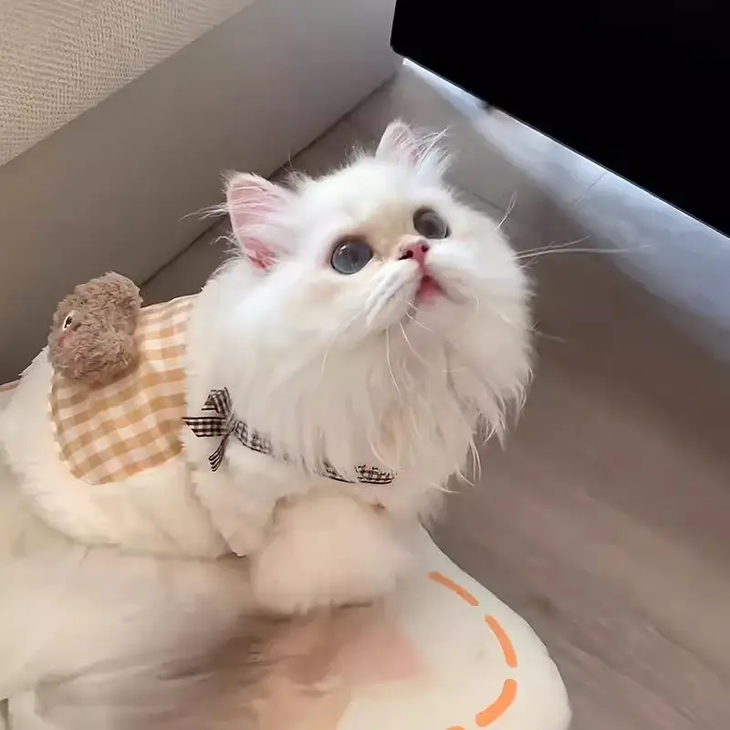 Cat Clothes Autumn And Winter Style Anti-shedding