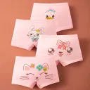 8002 Cat Combination-M