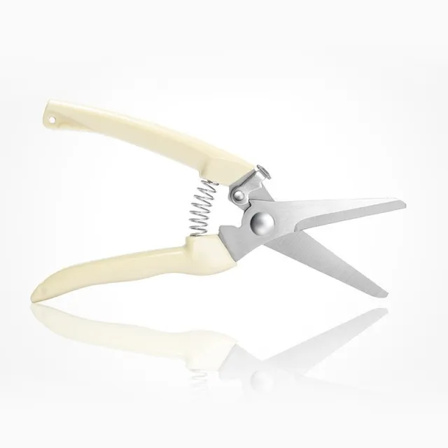 Flower Decoration Pruning Shears Household Garden Shears Knife Stainless Steel Straight Head Type - Shop at LoveMi