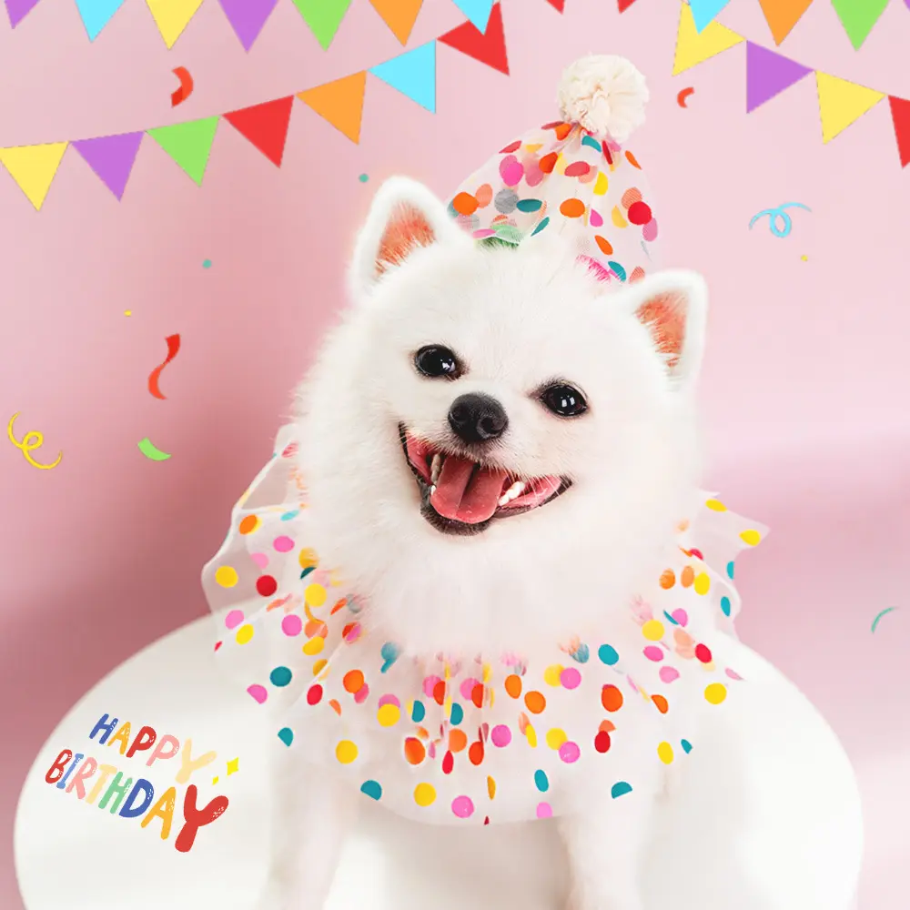 Pet Polka Dot Lace Bib Dog Birthday