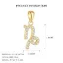 Capricornsingle Pendant