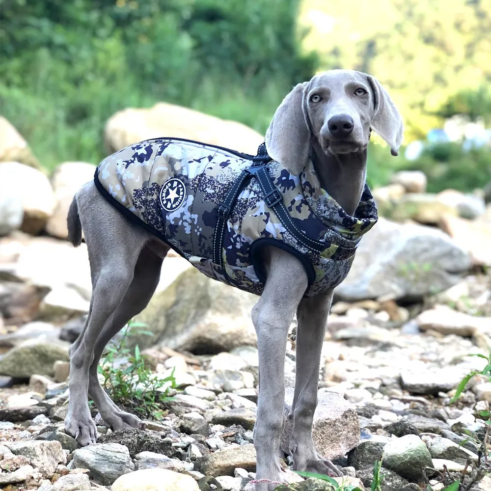 Winter Warm Camouflage Big Dog Shell Jacket Waterproof Reflective Cotton-padded Coat - Forest Green