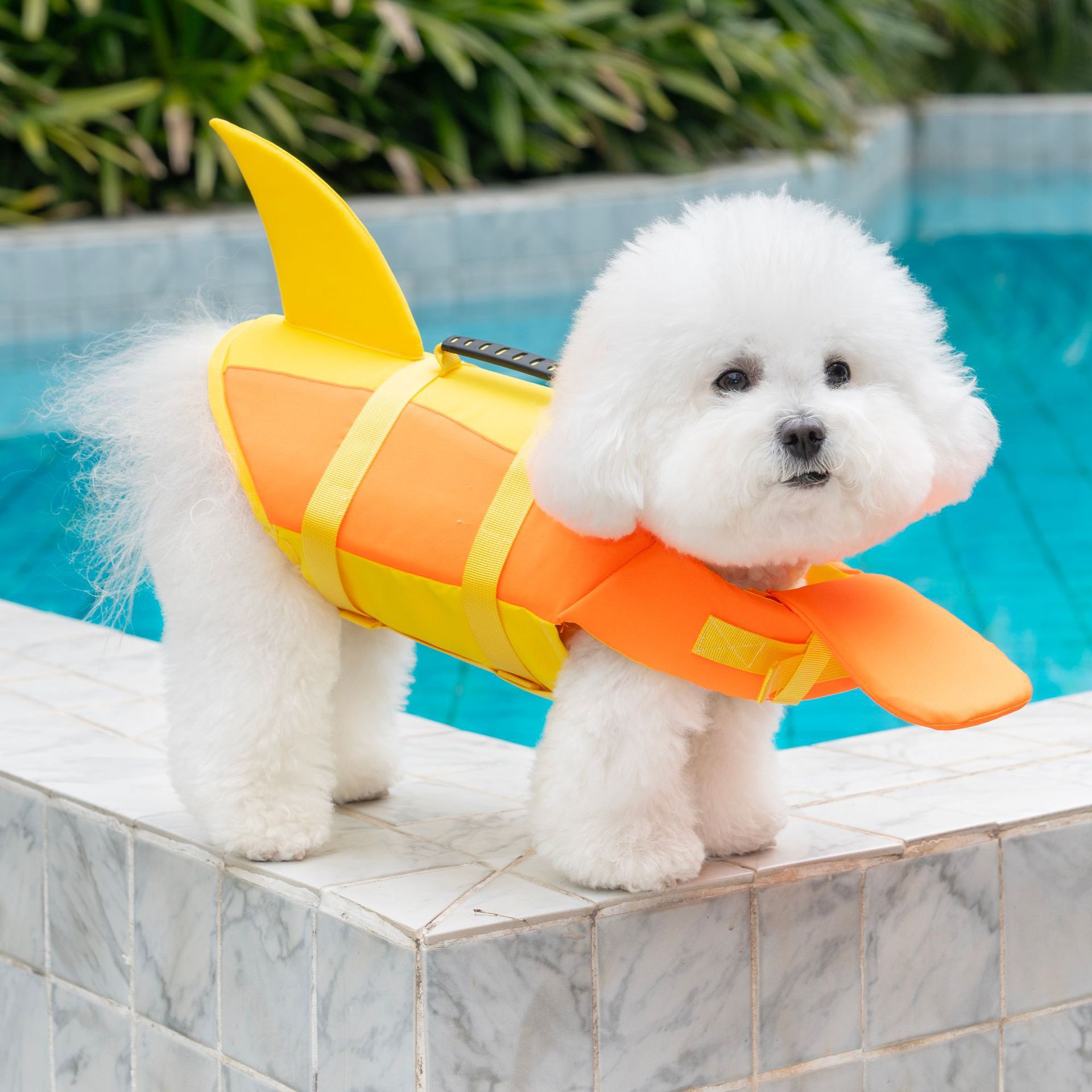 Chaleco salvavidas para perros