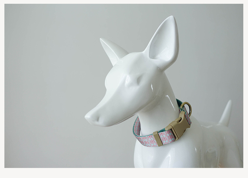 Pet Training Collar And Leash Set detail photo 8