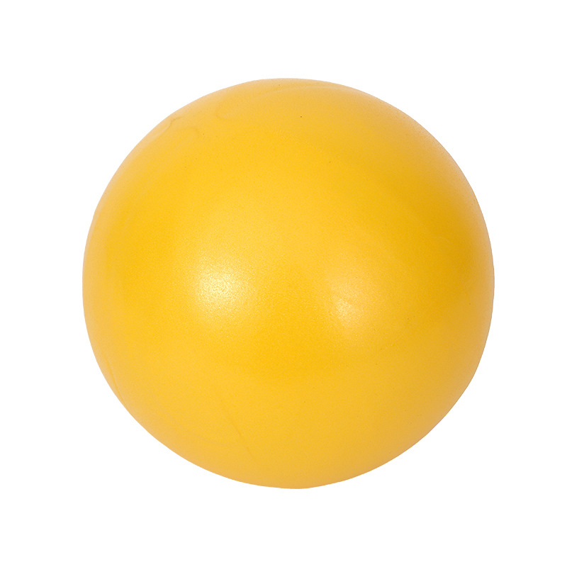 Balance Fitness Gymnastics Yoga Ball