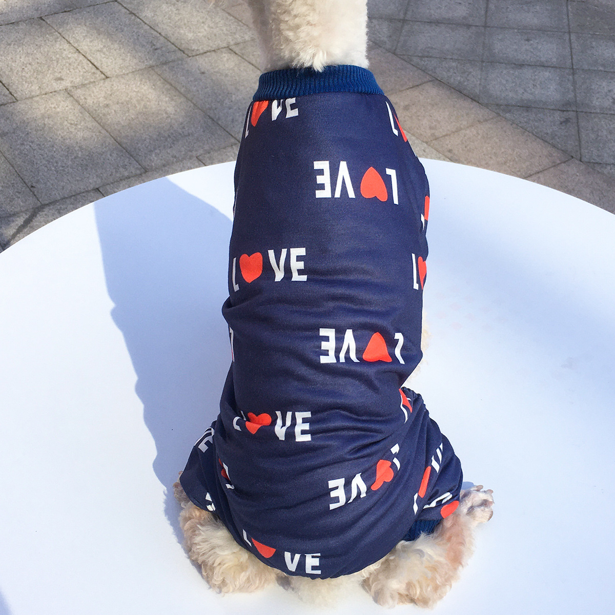 Title 12, Honden kleding voor vier poten