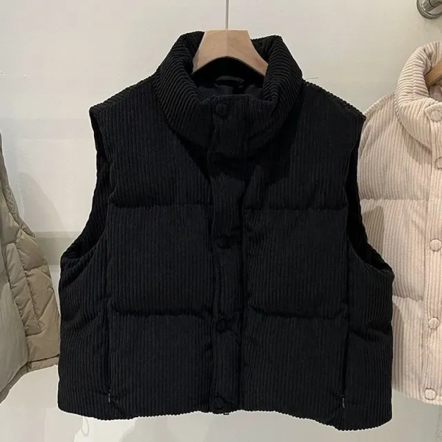 Womens Stylish Short Vest With A Stand up Collar Black - Shop at LoveMi