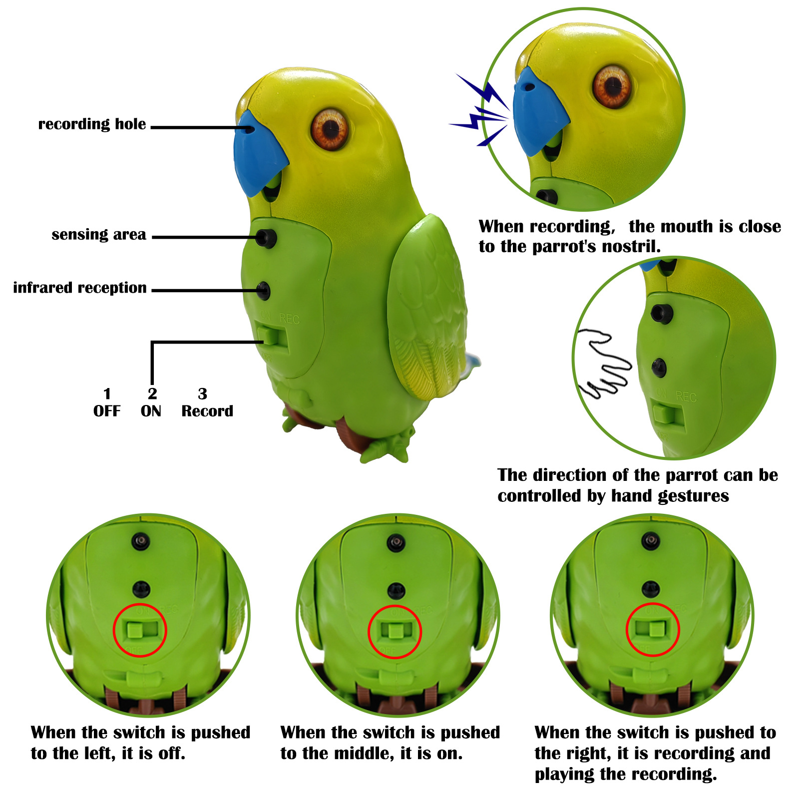 Talking And Singing Toy Parrot For Kids