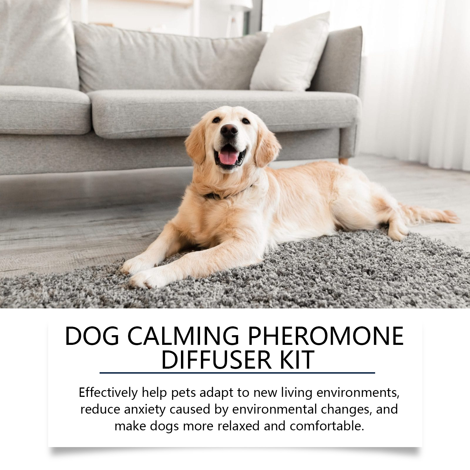 Anxiety-Relief Care Solution For Pets In New Environments 4