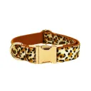 Dog Collar