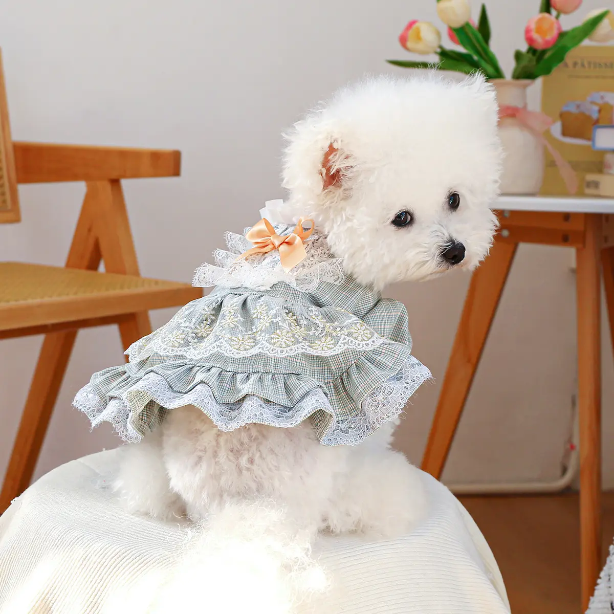 Court-style Cute Small Dog Lace Skirt