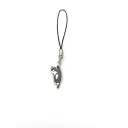 Gray Cat 1