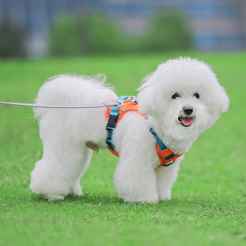 Large Anti Slip Pet Chest Harness In Traction Rope