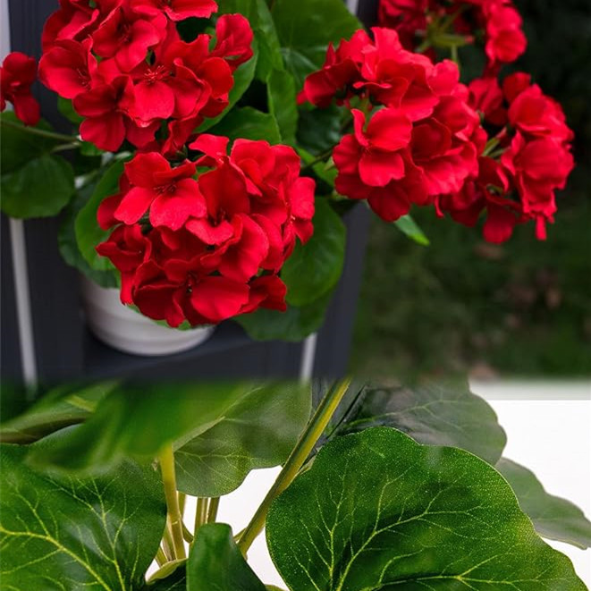 https://cf.cjdropshipping.com/quick/product/867b2340-3001-48e0-82be-2fd805ba1be7.jpg