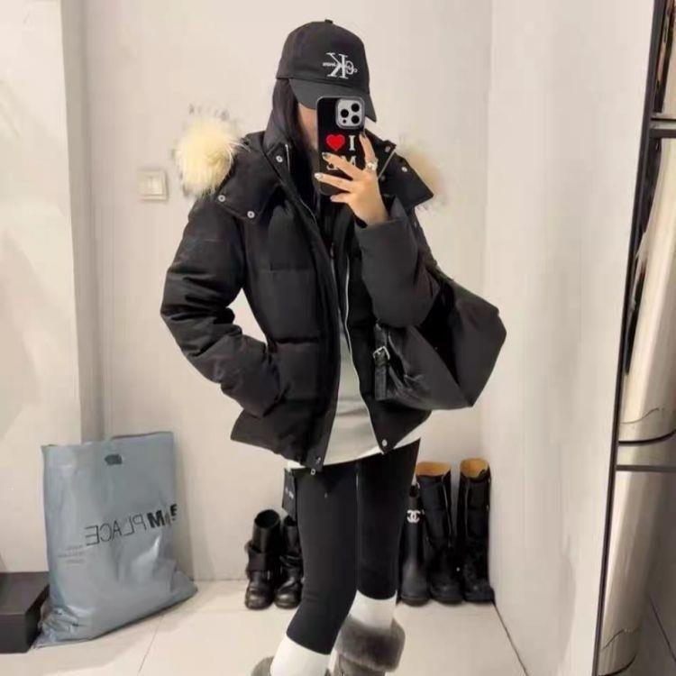 https://cf.cjdropshipping.com/quick/product/86a62a2c-17a1-4cb8-8dfe-d59e96bc69b0.jpg