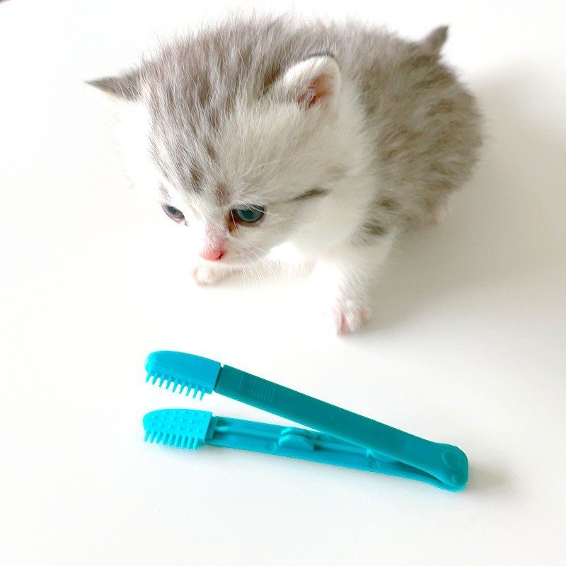 Dog Cat Cleaning Beauty Comb