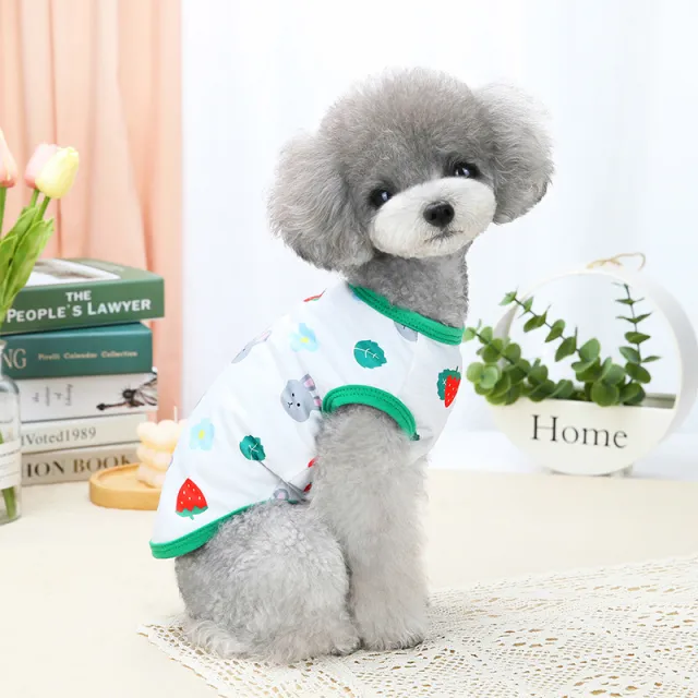 Spring And Summer Pet Costume Clothes Rabbit - Shop at LoveMi