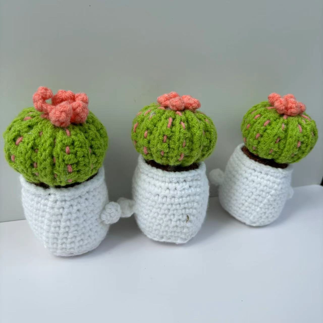 Title 7, Ornements de succulentes crochetées à la main e...