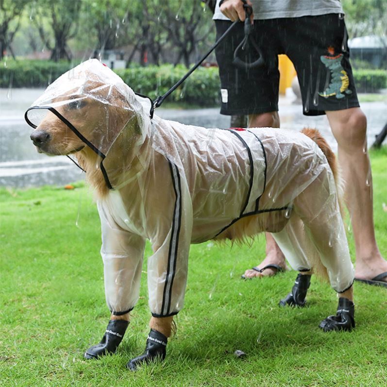 Transparent Big Dog Raincoat