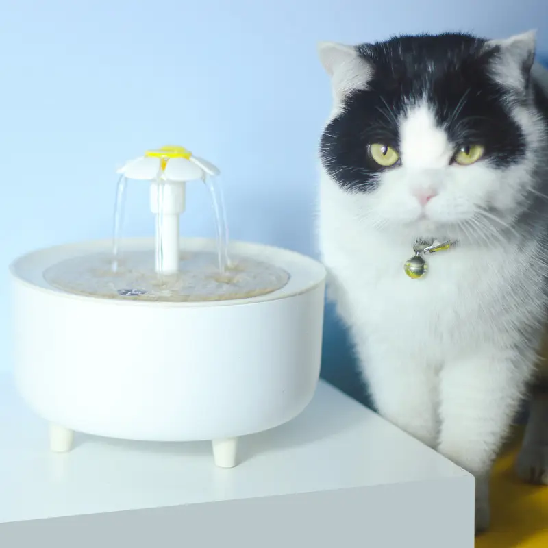 Pet Water Dispenser Automatic Loop Filtering