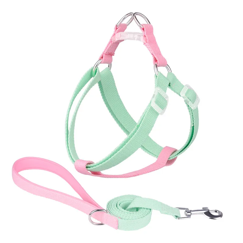 Macaron Traction Dog Rope Small And Medium Sized Pets - Set Green Pink